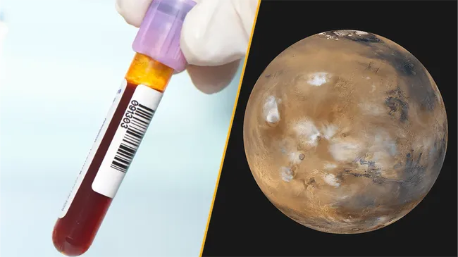 Science news this week: A unique new blood type and 'spiderwebs' on Mars